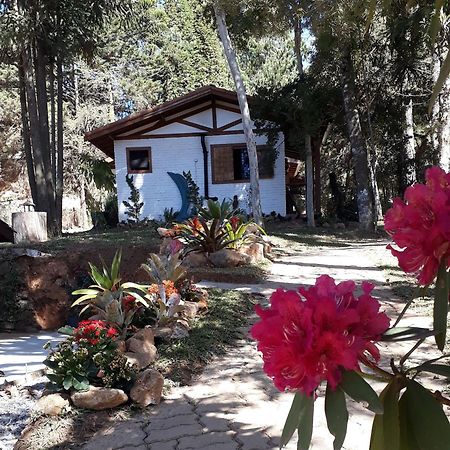 Chales Anecuem Monte Verde  Buitenkant foto