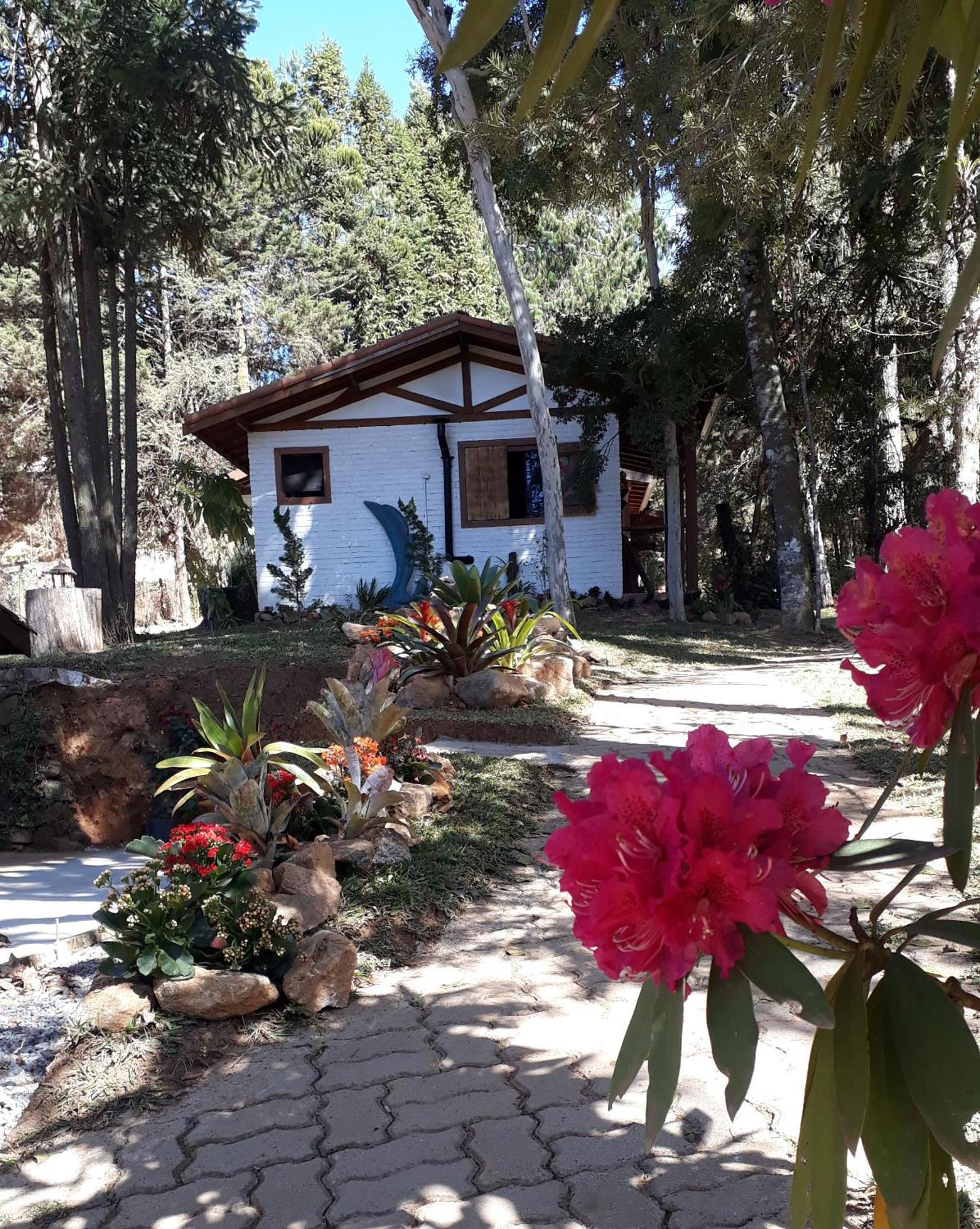 Chales Anecuem Monte Verde  Buitenkant foto