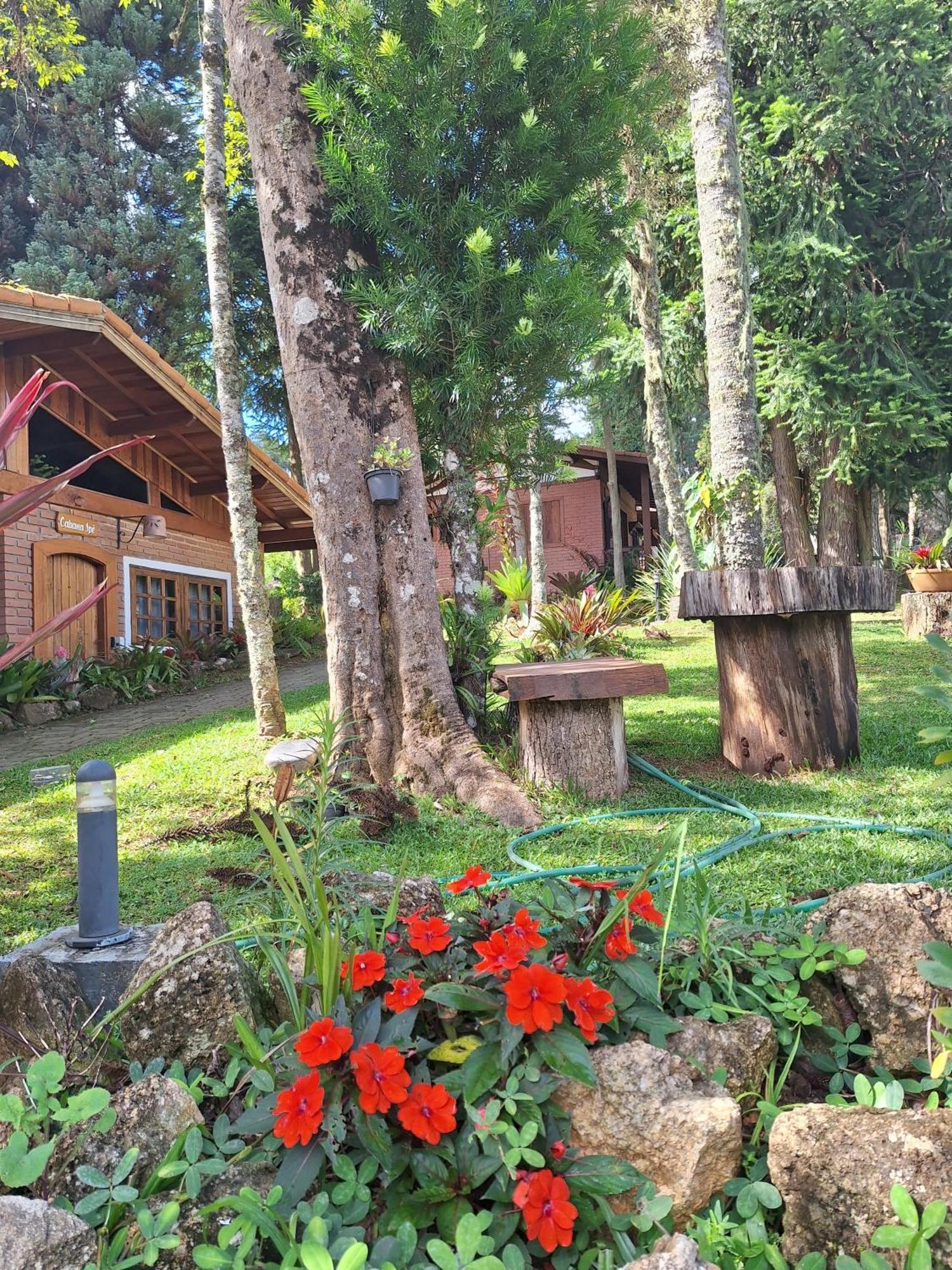 Chales Anecuem Monte Verde  Buitenkant foto